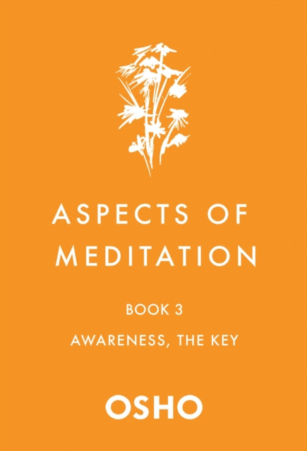 Aspects of Meditation Book 3: Awareness, the Key