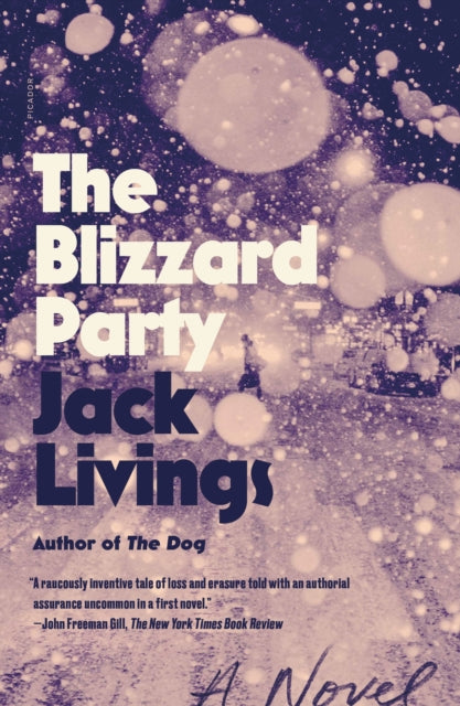 The Blizzard Party: A Novel