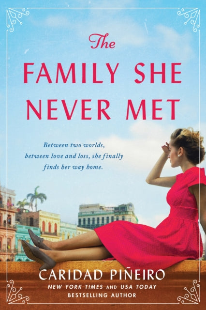 The Family She Never Met: A Novel