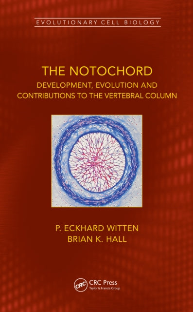 The Notochord: Development, Evolution and contributions to the vertebral column