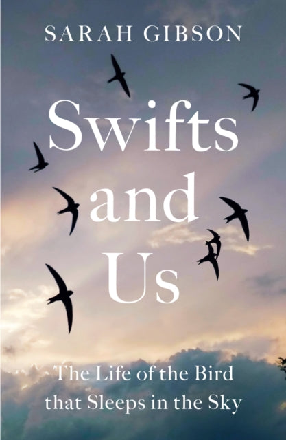 Swifts and Us: The Life of the Bird That Sleeps in the Sky