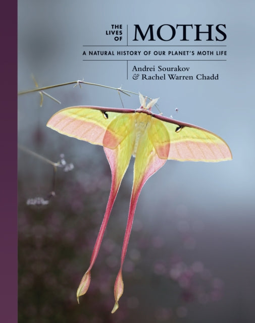 The Lives of Moths: A Natural History of Our Planet's Moth Life