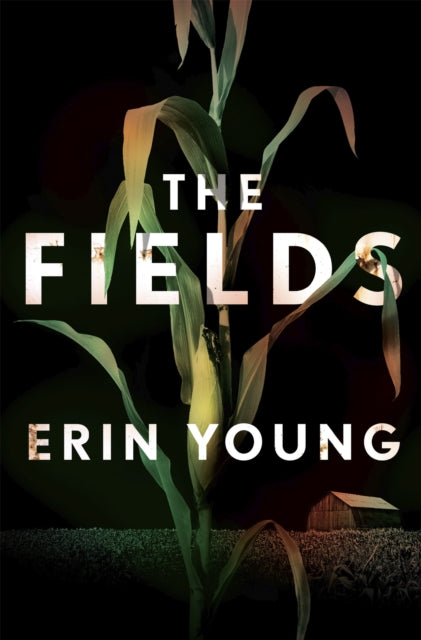 The Fields: Dark, immersive and seriously gripping