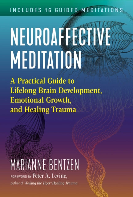 Neuroaffective Meditation: A Practical Guide to Lifelong Brain Development, Emotional Growth, and Healing Trauma