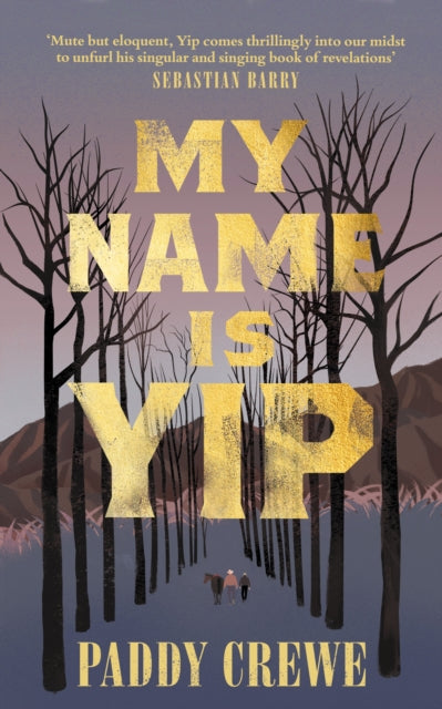 My Name is Yip: 'Singular and singing' Sebastian Barry