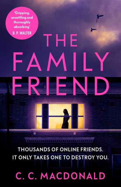 The Family Friend: the gripping and twist-filled Instagram thriller