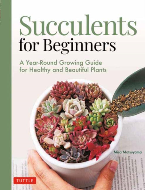 Succulents for Beginners: A Year-Round Growing Guide for Healthy and Beautiful Plants