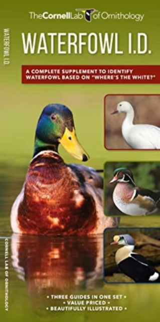 WATERFOWL ID SET