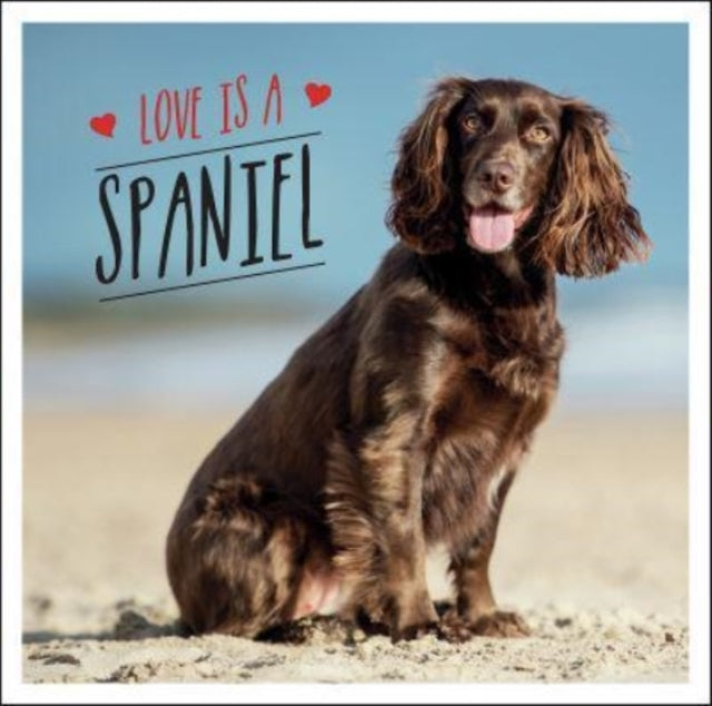 Love is a Spaniel: A Dog-Tastic Celebration of the World's Most Lovable Breed