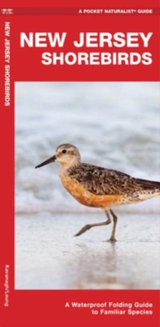 New Jersey Shorebirds: A Waterproof Folding Guide to Familiar Species