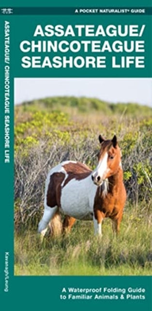 Assateague/Chincoteague Seashore Life: A Waterproof Folding Guide to Familiar Animals & Plants