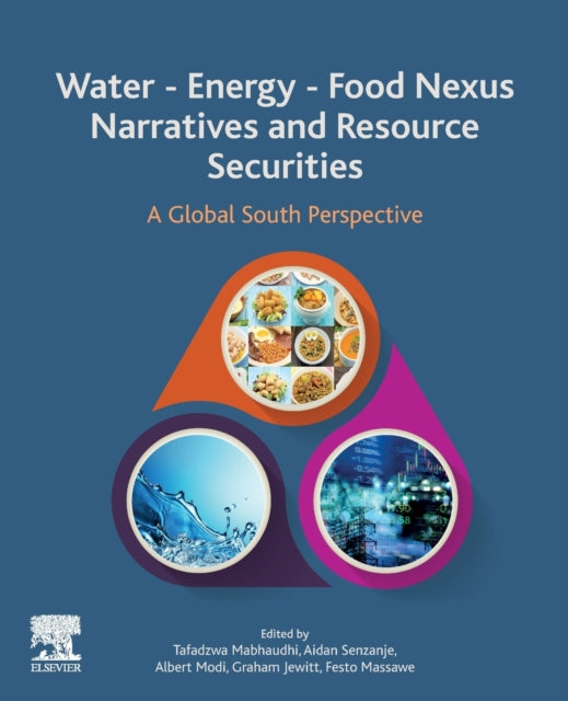 Water - Energy - Food Nexus Narratives and Resource Securities: A Global South Perspective