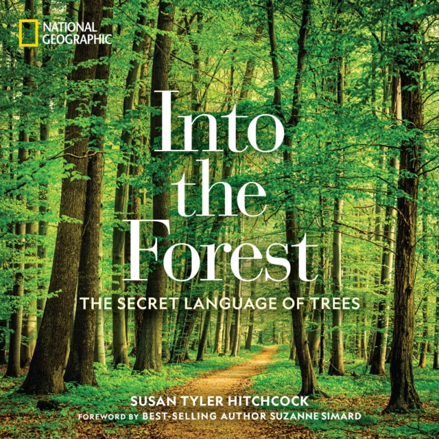 Into the Forest: The Secret Language of Trees