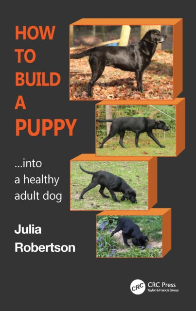 How to Build a Puppy: Into a Healthy Adult Dog