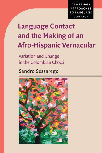 Language Contact and the Making of an Afro-Hispanic Vernacular: Variation and Change in the Colombian Choco
