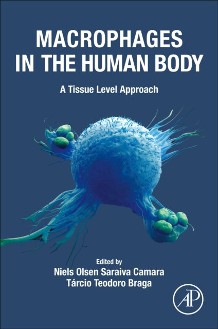 Macrophages in the Human Body: A Tissue Level Approach