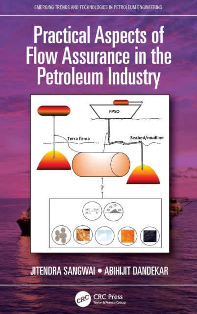 Practical Aspects of Flow Assurance in the Petroleum Industry