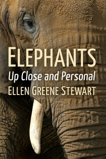 Elephants: Up Close and Personal