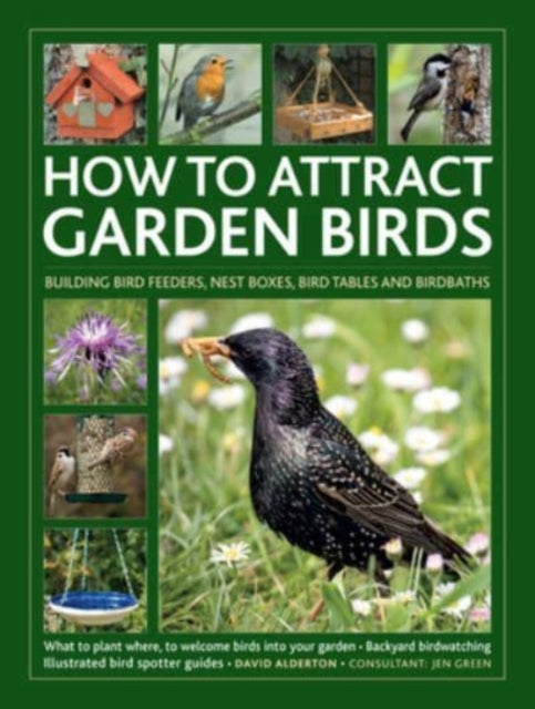 How to Attract Garden Birds: What to plant; Bird feeders, bird tables, birdbaths; Building nest boxes: Backyard birdwatching, with illustrated directories of common garden birds