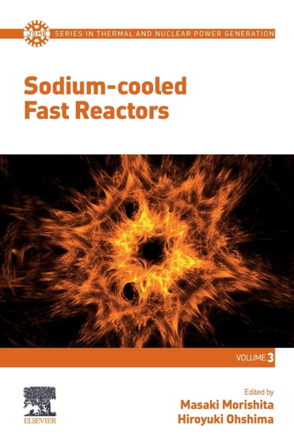 Sodium-cooled Fast Reactors