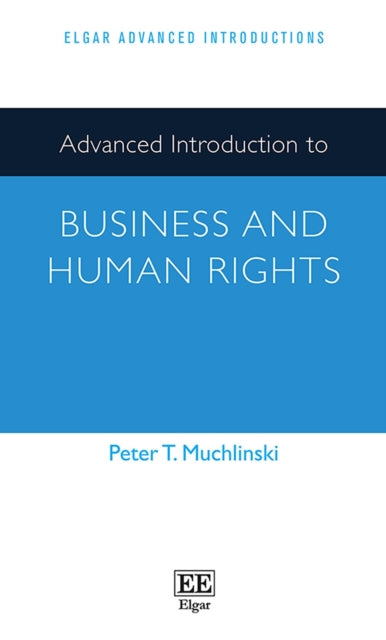 Advanced Introduction to Business and Human Rights