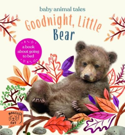 Goodnight, Little Bear: A Book About Going to Bed