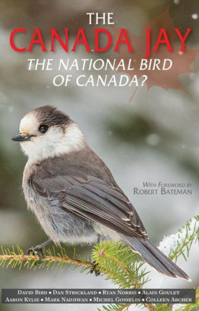 Canada Jay, The: The National Bird of Canada?