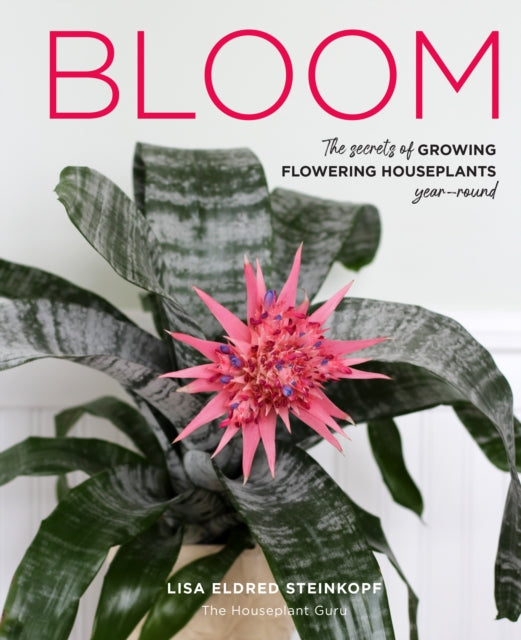 Bloom: The secrets of growing flowering houseplants year-round