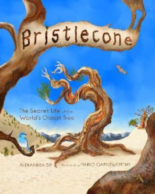 Bristlecone: The Secret Life of the World's Oldest Tree: The Secret Life of the World's Oldest Tree