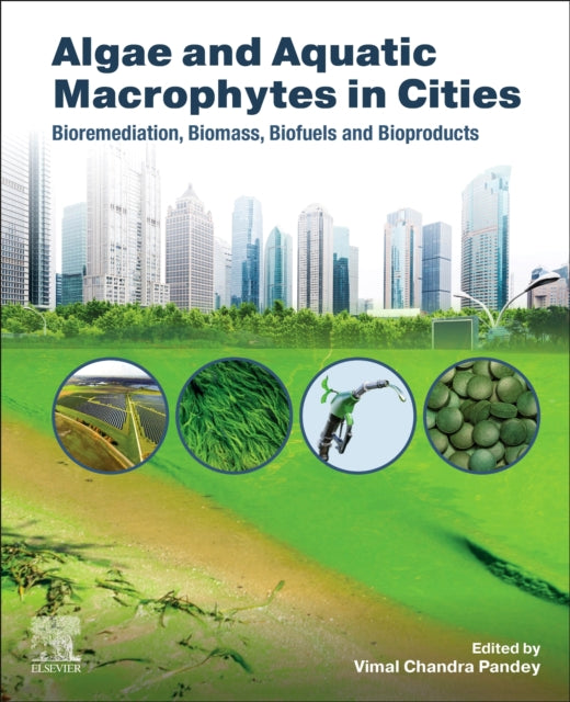 Algae and Aquatic Macrophytes in Cities: Bioremediation, Biomass, Biofuels and Bioproducts
