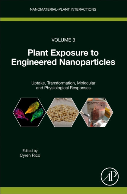 Plant Exposure to Engineered Nanoparticles: Uptake, Transformation, Molecular and Physiological Responses