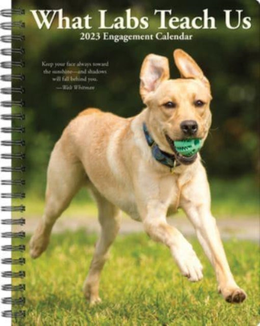 What Labs Teach Us 2023 Engagement Calendar