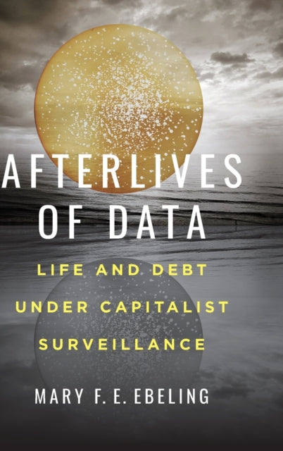 Afterlives of Data: Life and Debt under Capitalist Surveillance