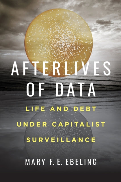 Afterlives of Data: Life and Debt under Capitalist Surveillance