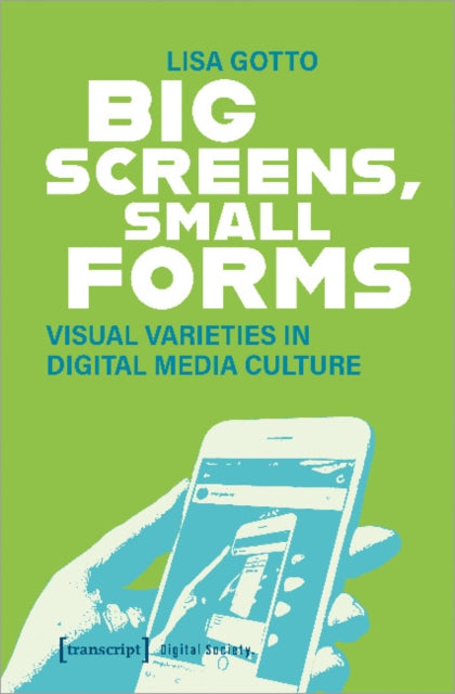 Big Screens, Small Forms: Visual Varieties in Digital Media Culture