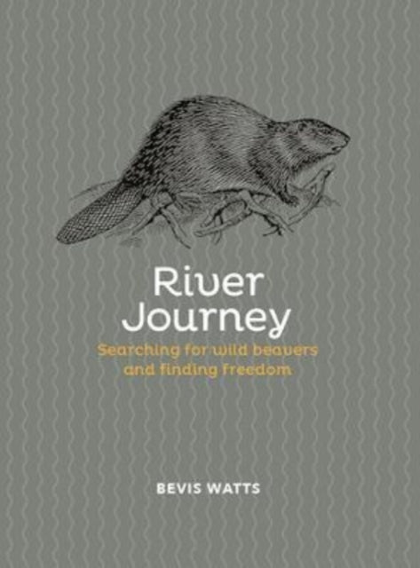 River Journey: Searching For Wild Beavers And Finding Freedom