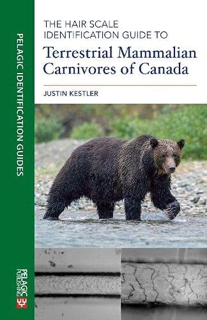 The Hair Scale Identification Guide to Terrestrial Mammalian Carnivores of Canada