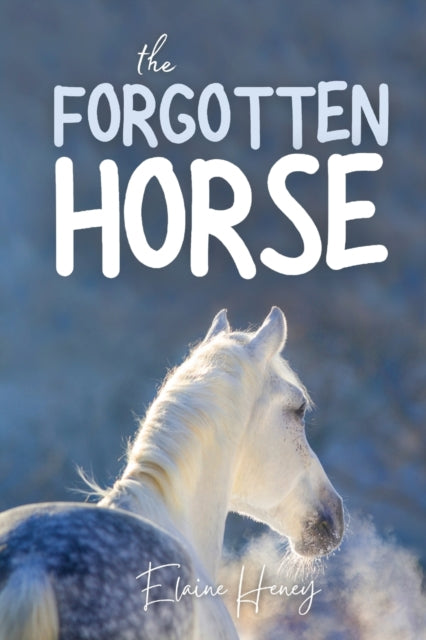 The Forgotten Horse: Book 1 in the Connemara Horse Adventure Series for Kids. The perfect gift for children age 8-12.