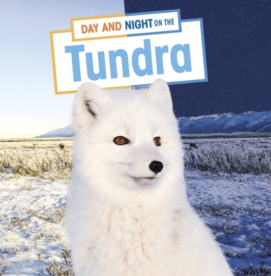 Day and Night on the Tundra