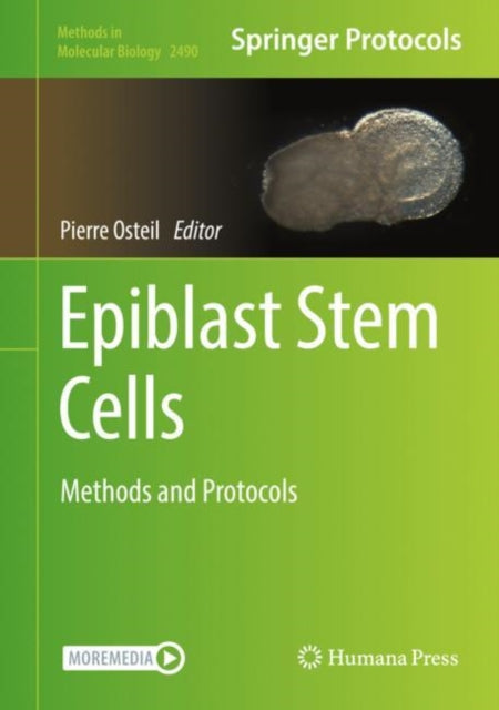 Epiblast Stem Cells: Methods and Protocols