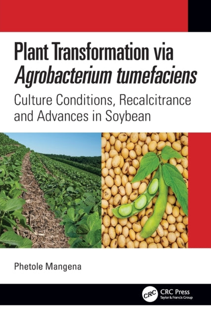 Plant Transformation via Agrobacterium Tumefaciens: Culture Conditions, Recalcitrance and Advances in Soybean