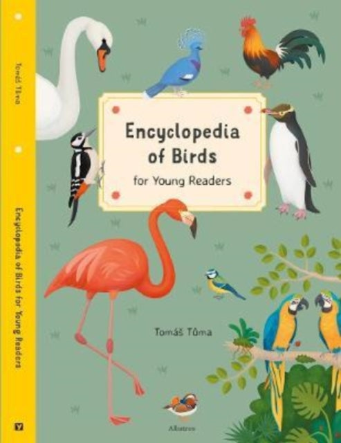 Encyclopedia of Birds: for Young Readers