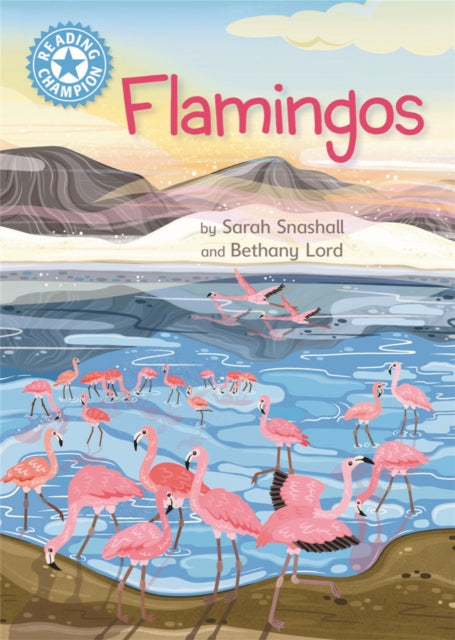 Reading Champion: Flamingos: Independent Reading Non-Fiction Blue 4