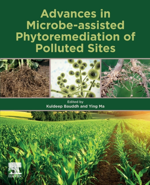 Advances in Microbe-assisted Phytoremediation of Polluted Sites