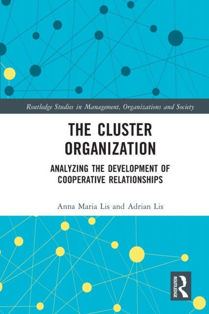 The Cluster Organization: Analyzing the Development of Cooperative Relationships