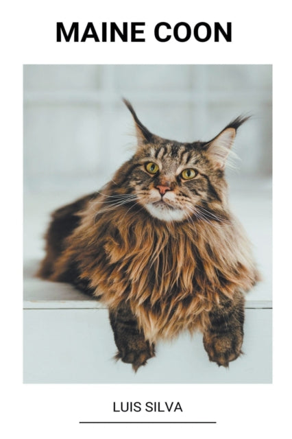 Maine Coon