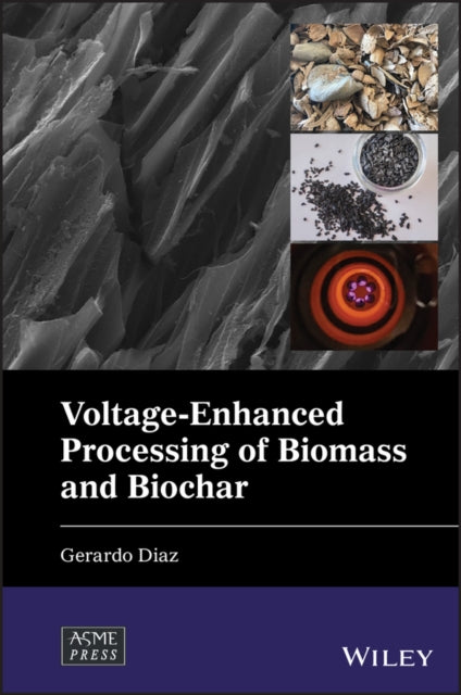 Voltage-Enhanced Processing of Biomass and Biochar