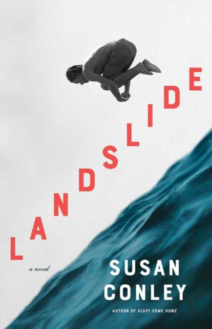 Landslide: A novel