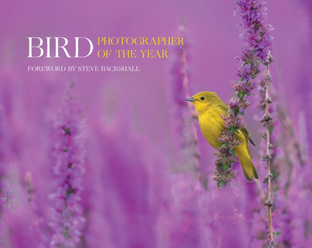 Bird Photographer of the Year: Collection 7