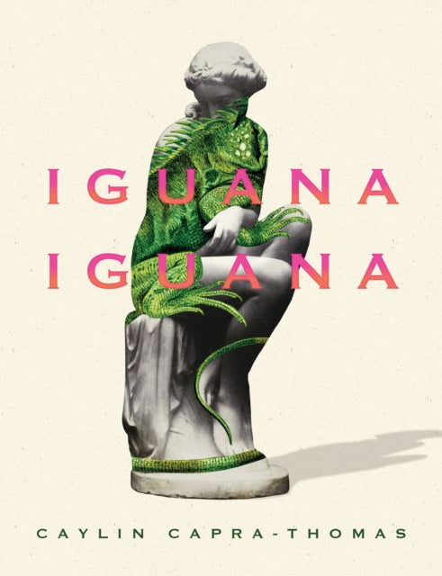 Iguana Iguana